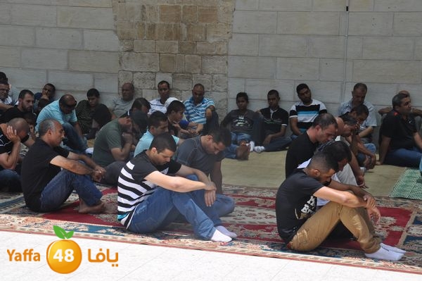 bazsalah lud 712 (56).JPG